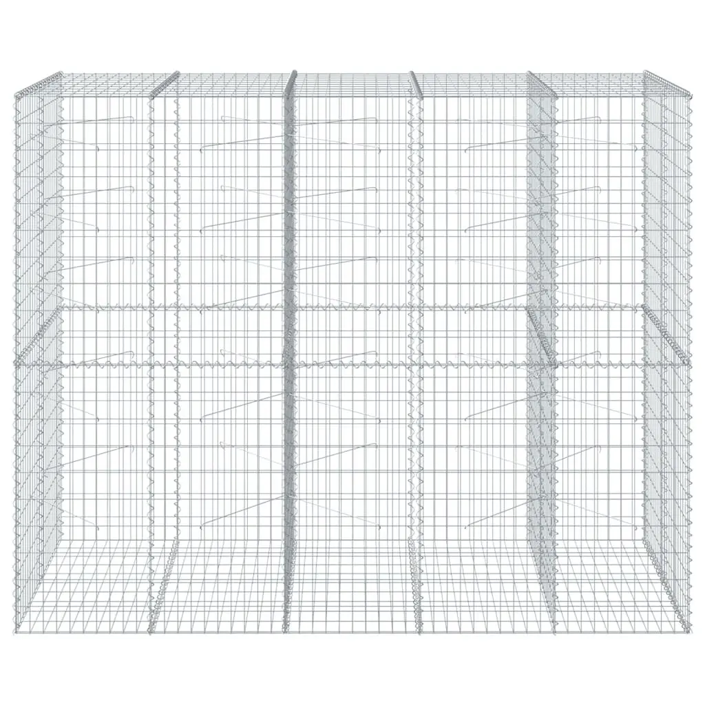 Gabion Basket with Cover 250x100x200 cm Galvanised Iron Wire Garden Retaining