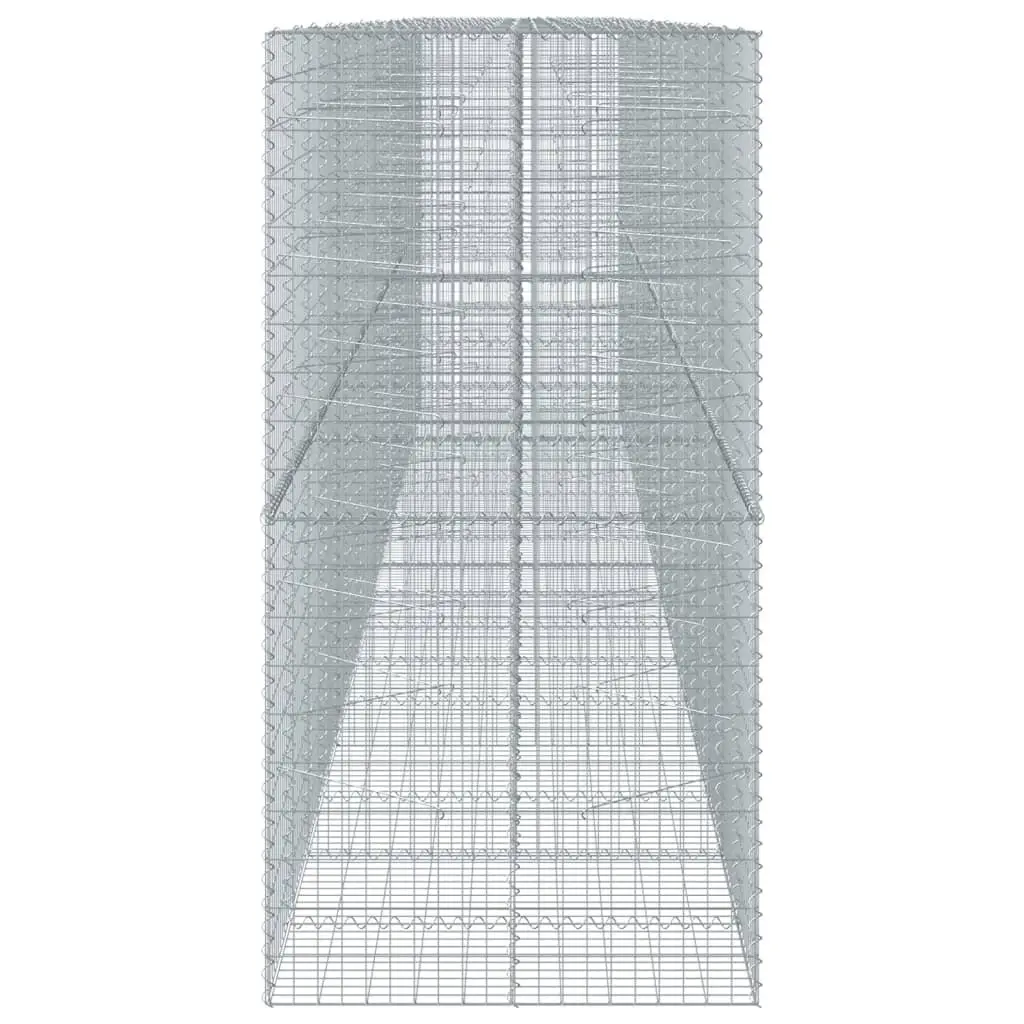 Galvanised Iron Gabion Basket for Garden 850x100x200 cm