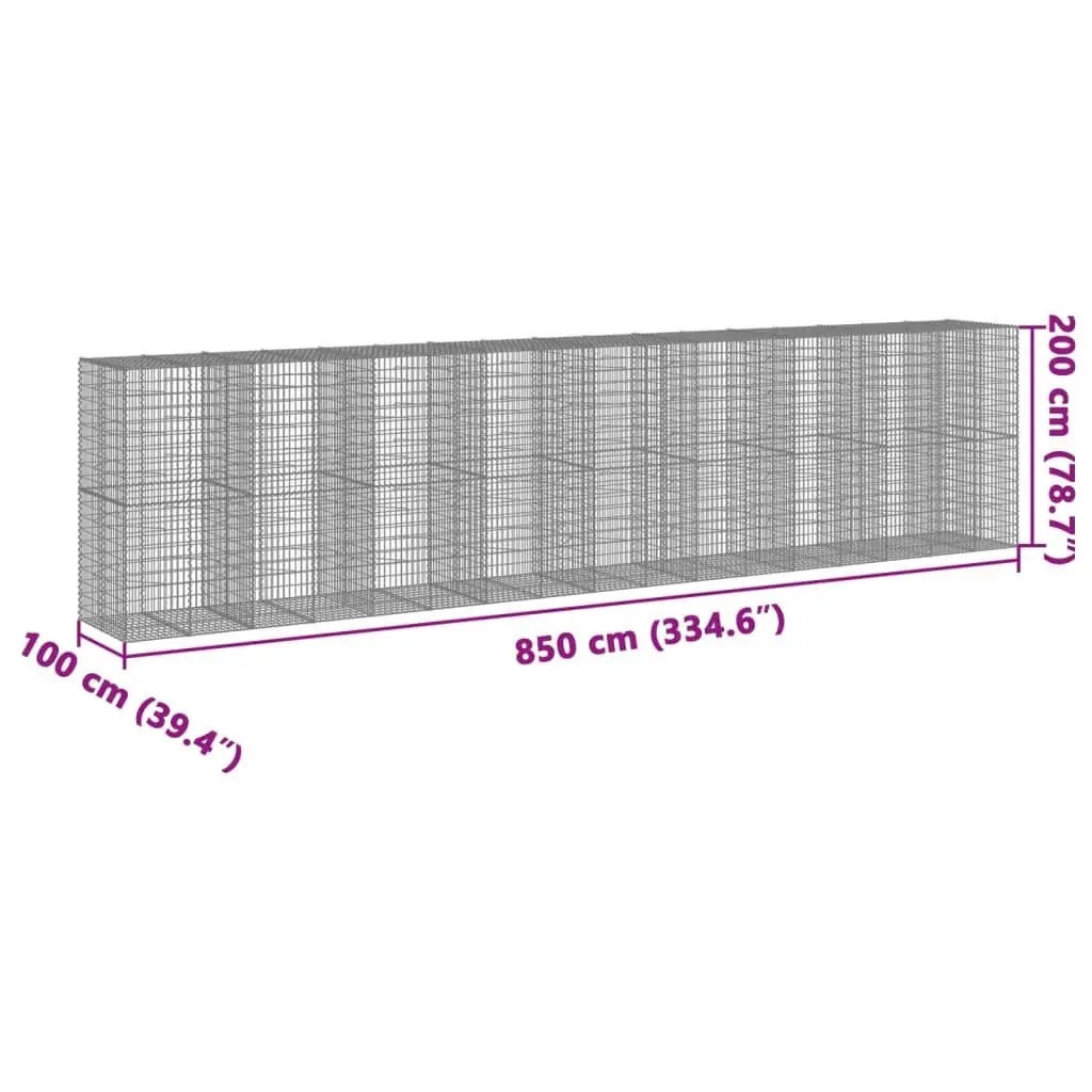 Galvanised Iron Gabion Basket for Garden 850x100x200 cm