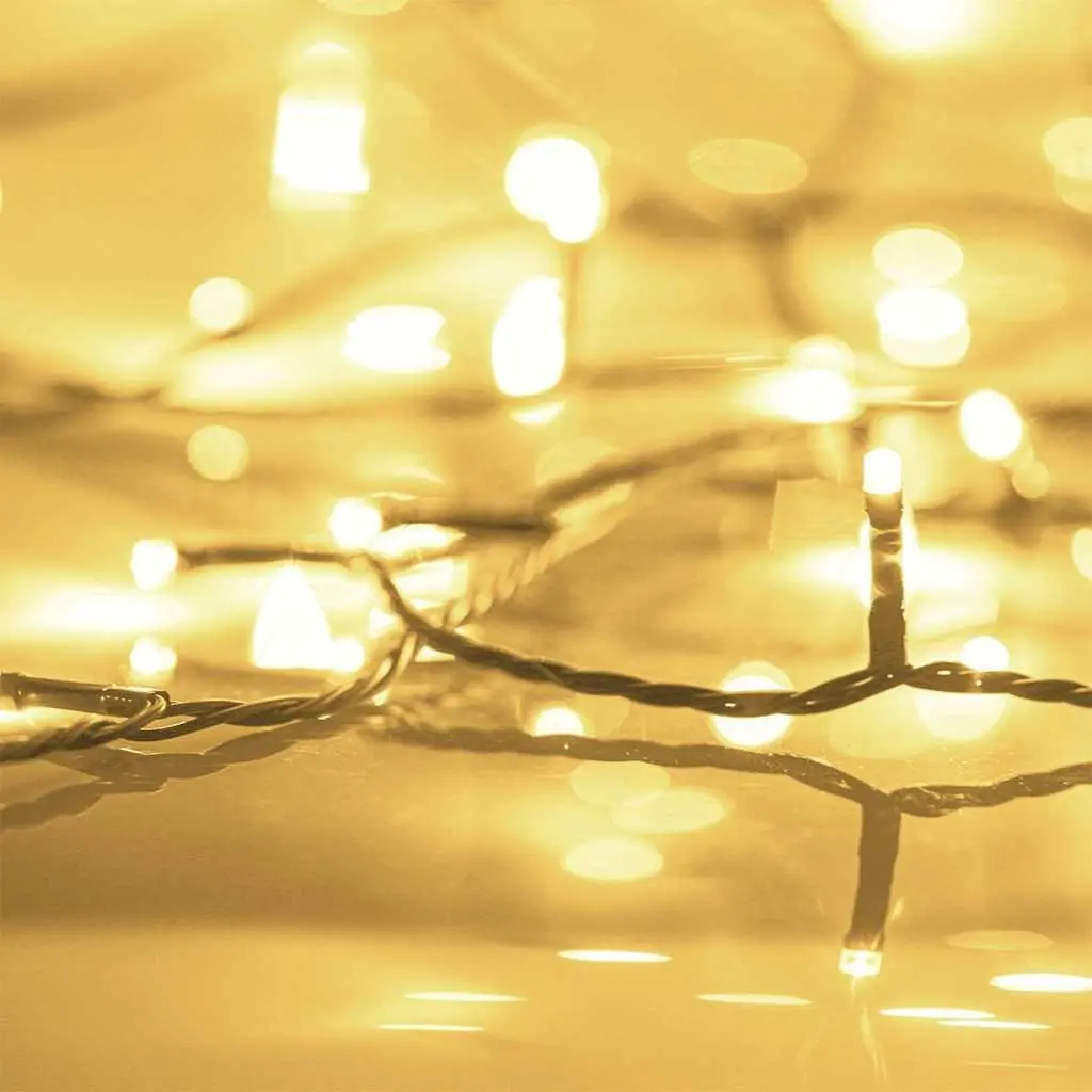 30m Warm White LED String Lights with 300 LEDs