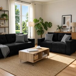 Black Velvet 2 Piece Sofa Set with Wooden and Metal Frame