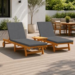 Sun Lounger Reclining Chair for 2: Specs and Features