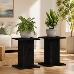 2-Piece Black Plant Stand Set: 30x30x40cm Each