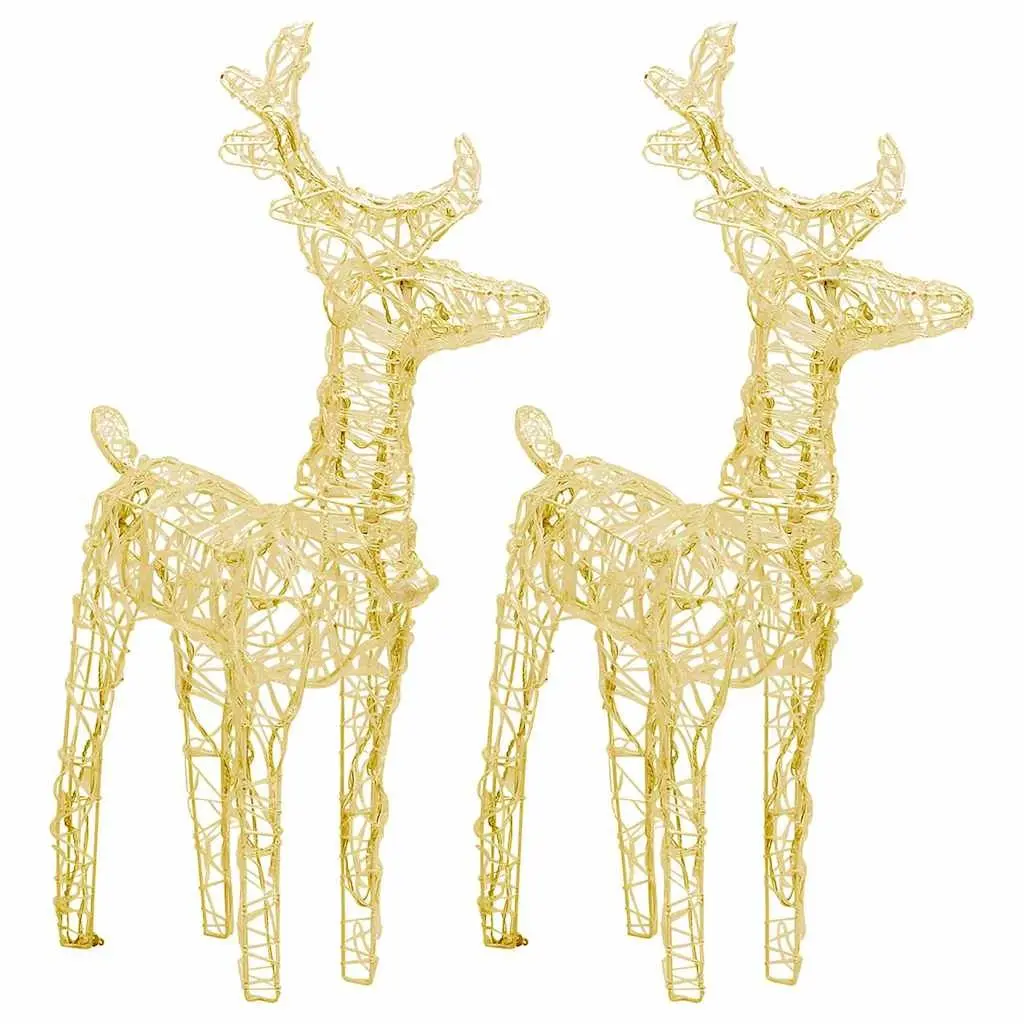 Christmas Reindeer LED Lights Outdoor Decoration 2 Piece Warm White