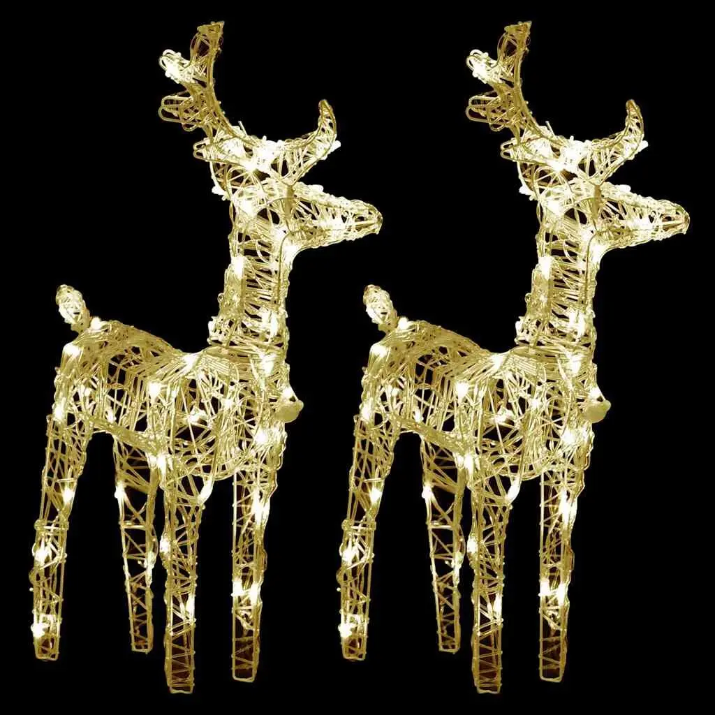 Christmas Reindeer LED Lights Outdoor Decoration 2 Piece Warm White