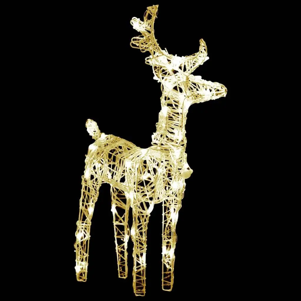 Christmas Reindeer LED Lights Outdoor Decoration 2 Piece Warm White
