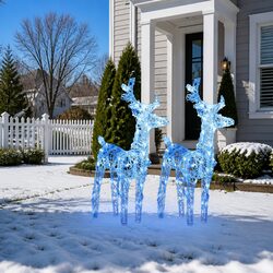 Detailed Specifications: Christmas Reindeer Lights 2 pcs