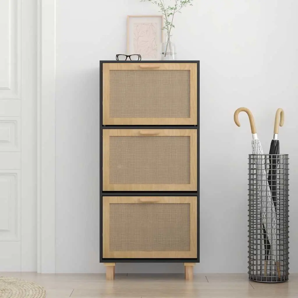 Black Scandinavian Shoe Cabinet