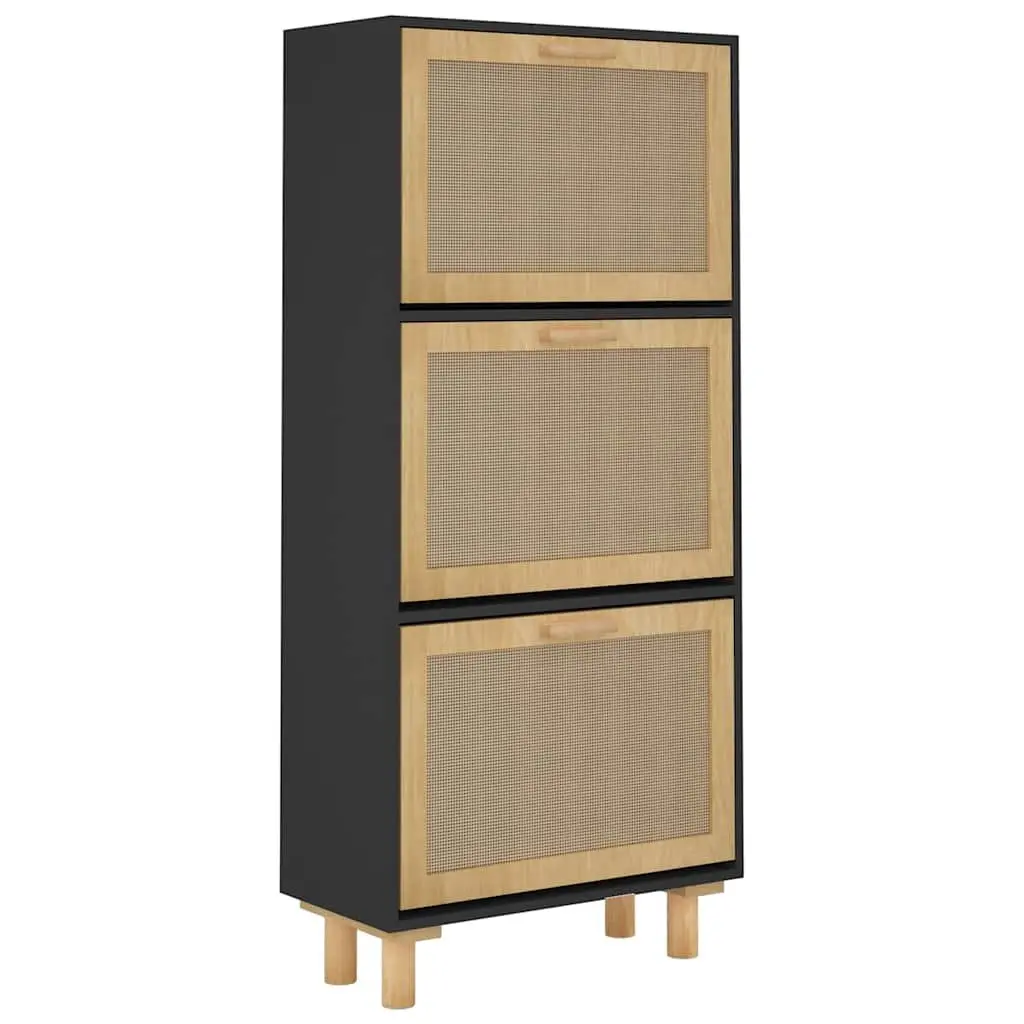 Black Scandinavian Shoe Cabinet
