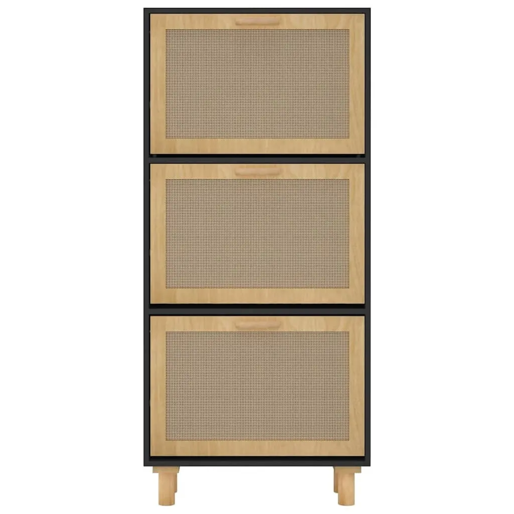 Black Scandinavian Shoe Cabinet