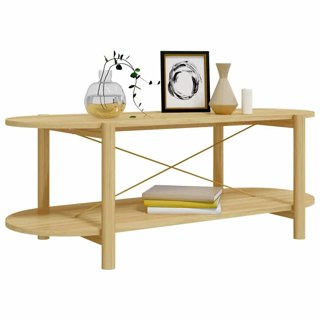 Brown Engineered Wood Coffee Table 110x48x40 cm with Storage