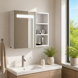Bathroom Mirror Cabinet with LED Light Wall-Mounted Vanity Storage 60x13x52cm