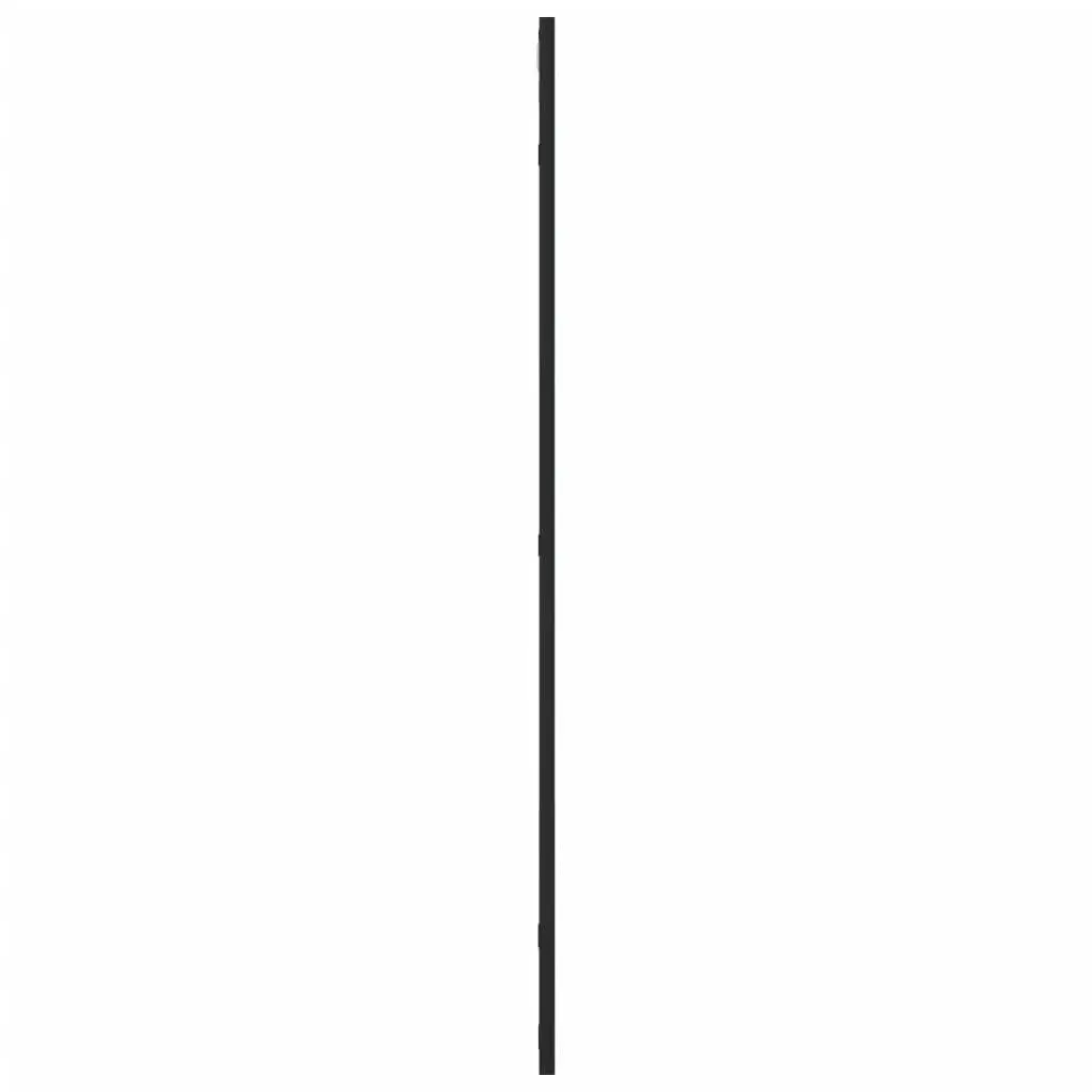 Wall Mirror Rectangle Black 50x100 cm Iron Frame Minimalist Home Decor Hanging