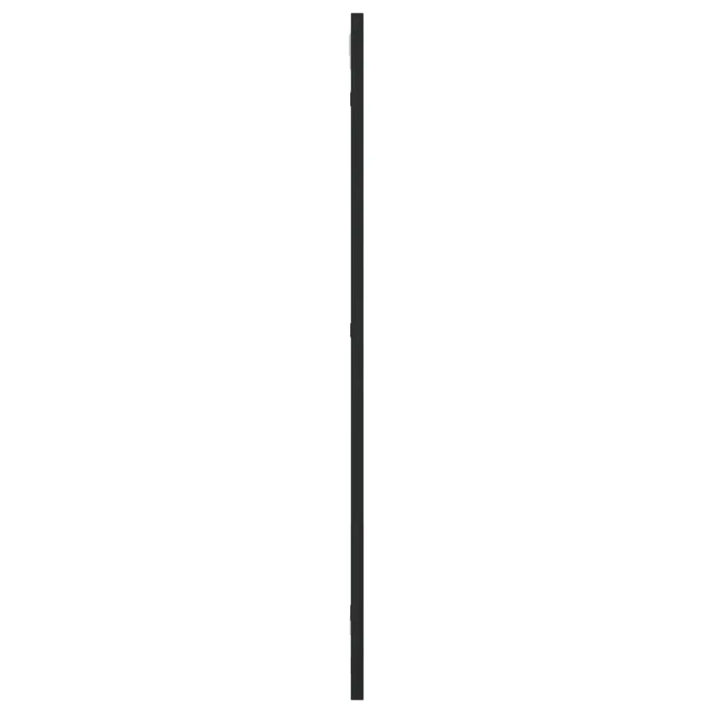 Black Wall Mirror 30x80cm