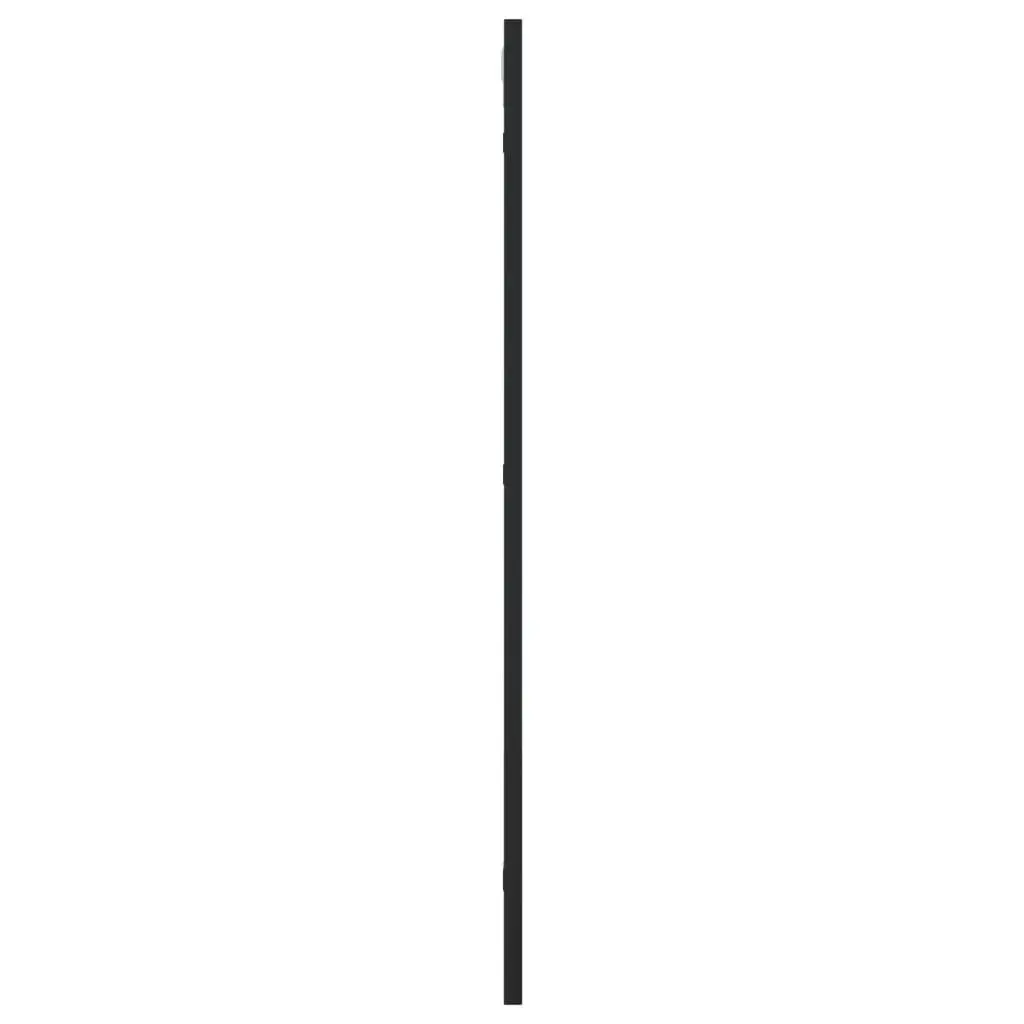 Wall Mirror Black 40x80 cm Minimalist Iron Frame Glass Decor Hanging