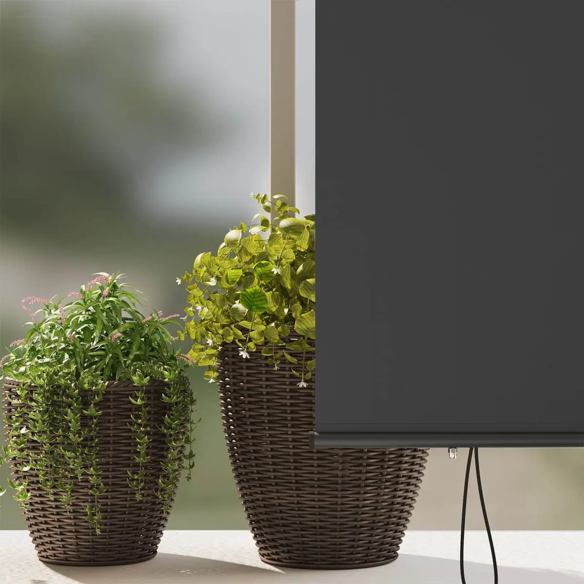 Outdoor Roller Blind Anthracite for Patio Garden 180 x 250 cm