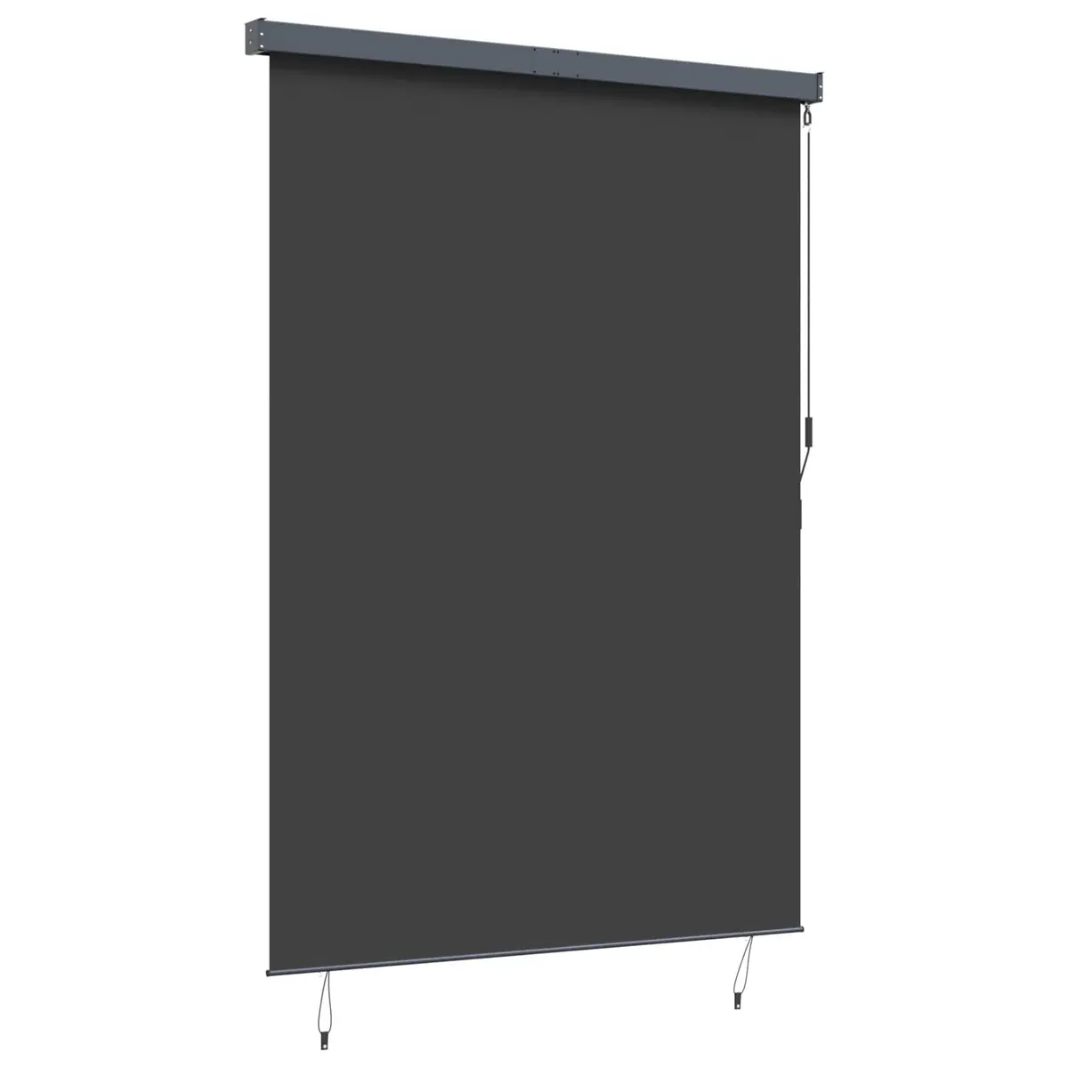Outdoor Roller Blind Anthracite for Patio Garden 180 x 250 cm