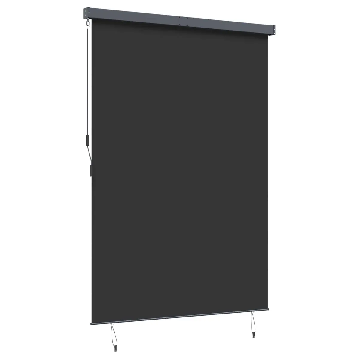 Outdoor Roller Blind Anthracite for Patio Garden 180 x 250 cm