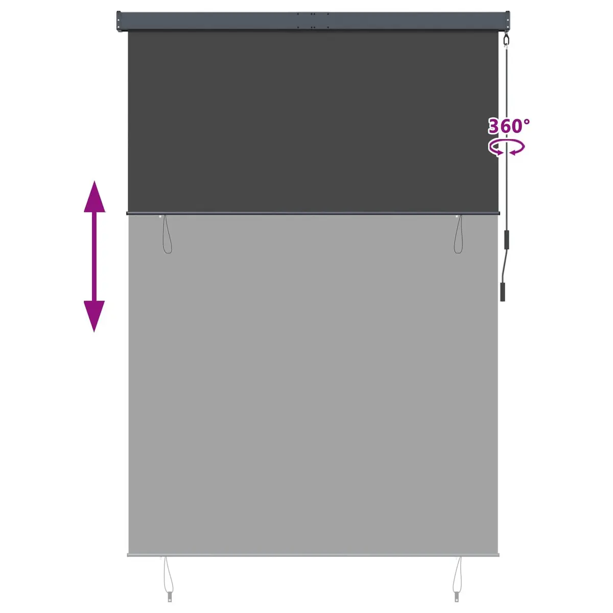 Outdoor Roller Blind Anthracite for Patio Garden 180 x 250 cm