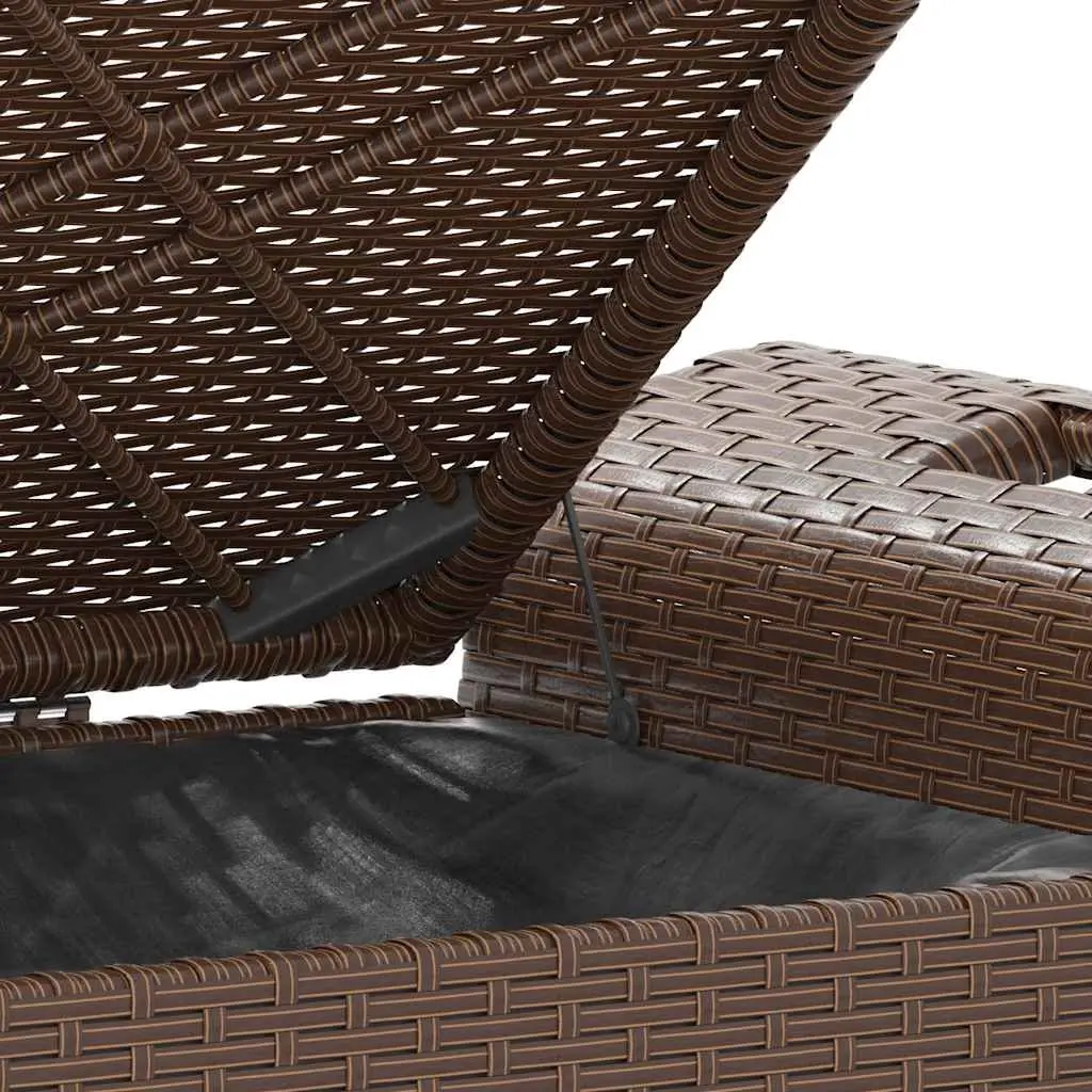 Outdoor Garden Bench with Cushion Storage