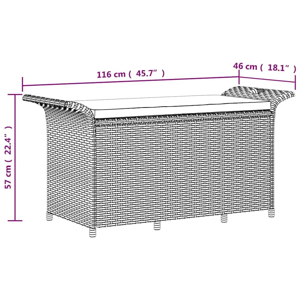 Outdoor Garden Bench with Cushion Storage