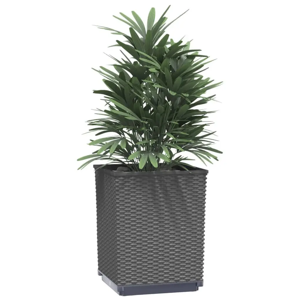 Black Polypropylene Planters Set 30x30x37cm, 2 Pieces