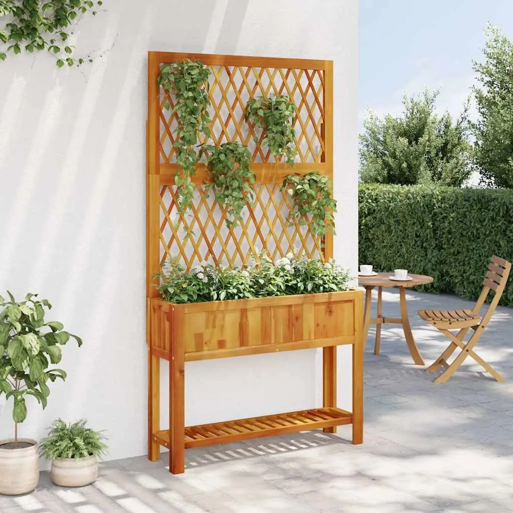 Wooden Planter with Trellis Shelf Garden Patio Outdoor Standing Tall Acacia