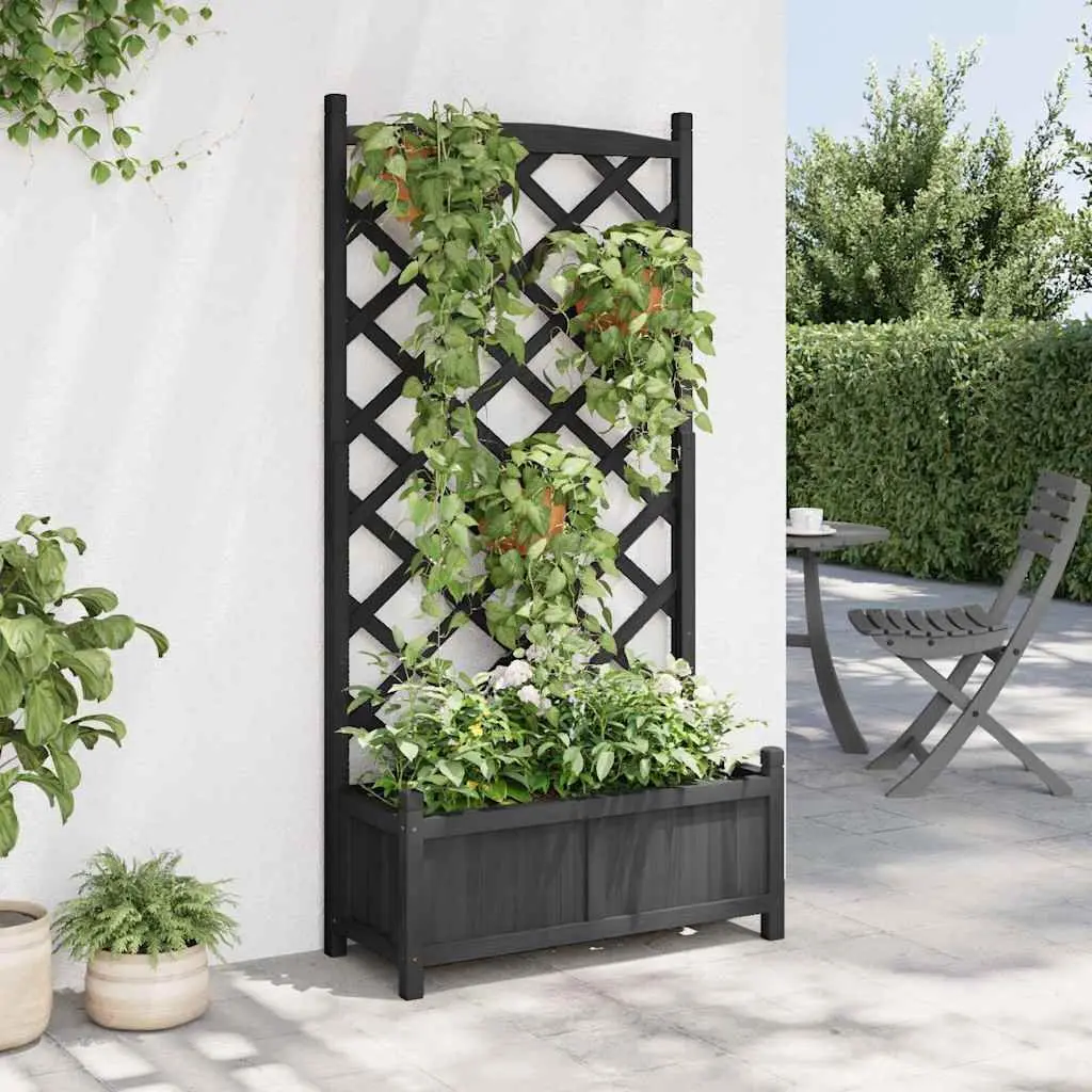 Black Solid Fir Planter with Trellis