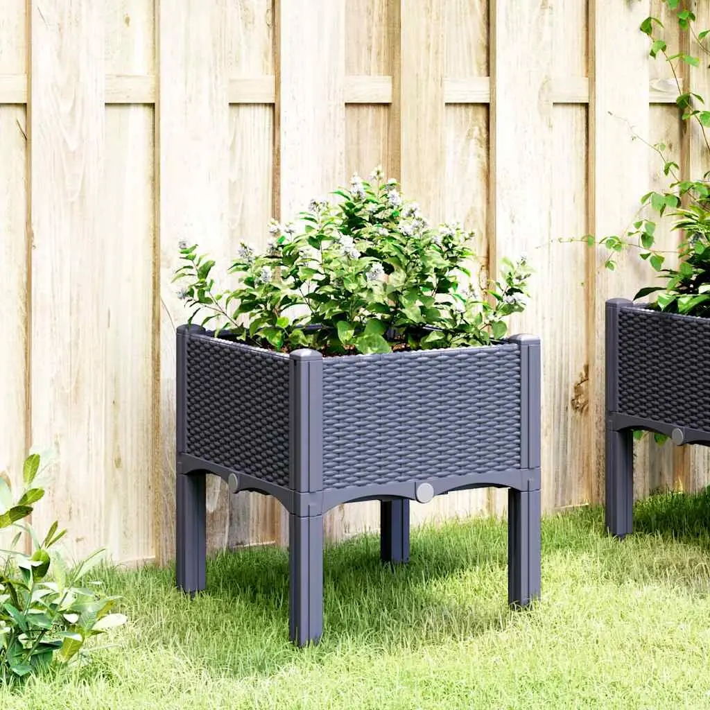 Grey Rattan Look Elevated Garden Planter Box