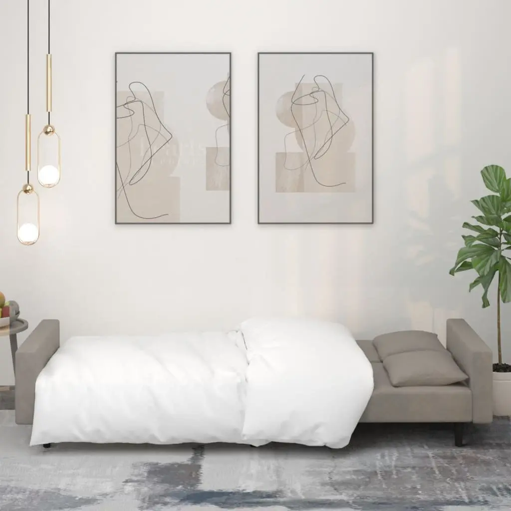 2-Seater Sofa Bed Convertible Day Bed for Living Room Guest Bedroom Grey Velvet
