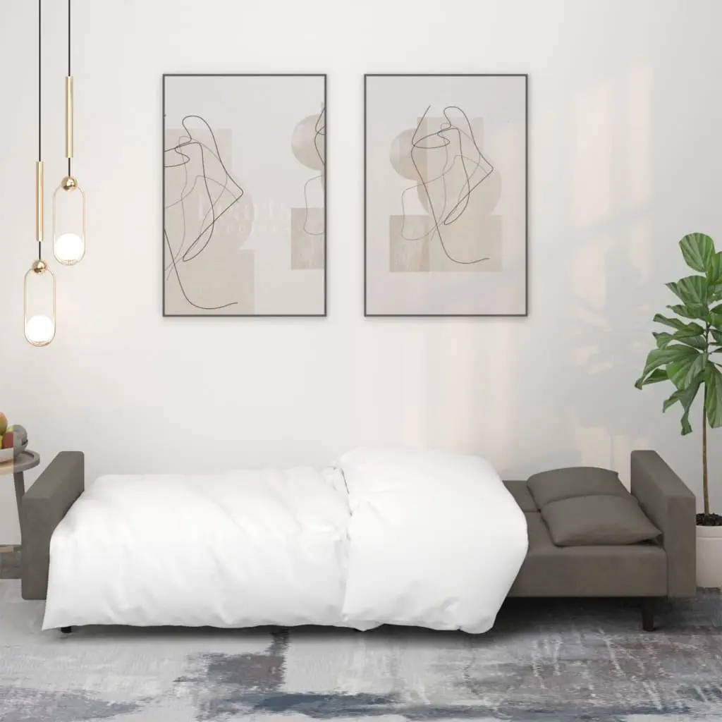 2-Seater Sofa Bed Grey Velvet Convertible Day Bed with Pillows Guest Bedroom