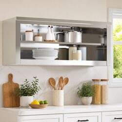 Stainless Steel Wall-Mounted Kitchen Cabinet Specifications