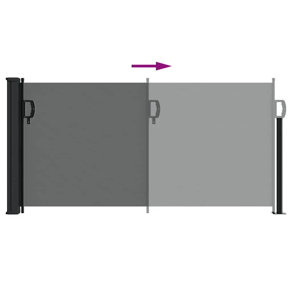 Retractable Side Awning Outdoor Garden Screen 100x300cm Anthracite