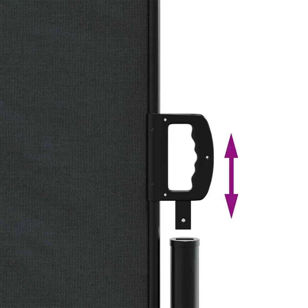 Retractable Side Awning Black 160x300 cm Outdoor Patio Garden Privacy Screen