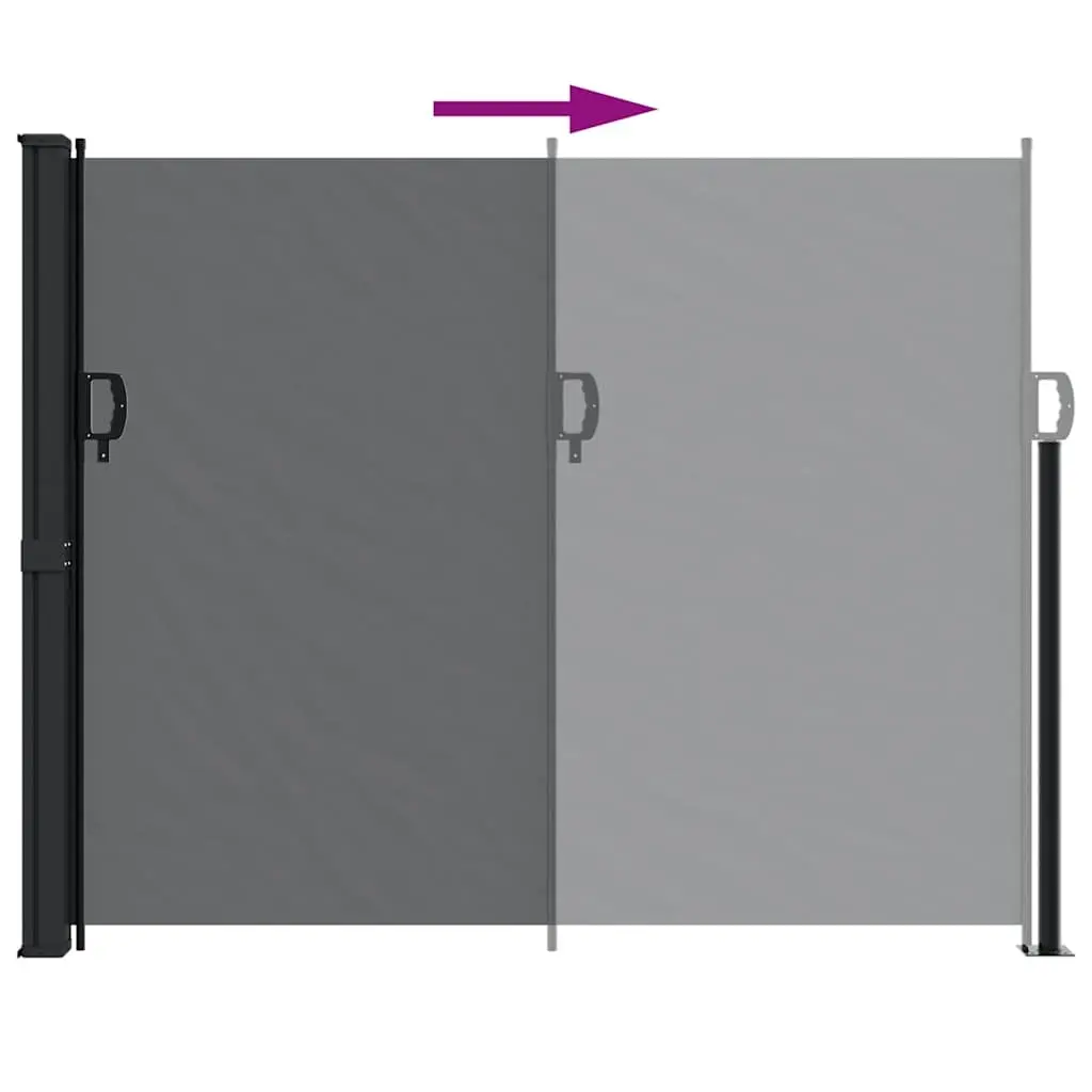 Retractable Side Awning Black 160x300 cm Outdoor Patio Garden Privacy Screen