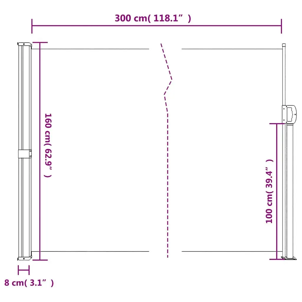 Retractable Side Awning Black 160x300 cm Outdoor Patio Garden Privacy Screen