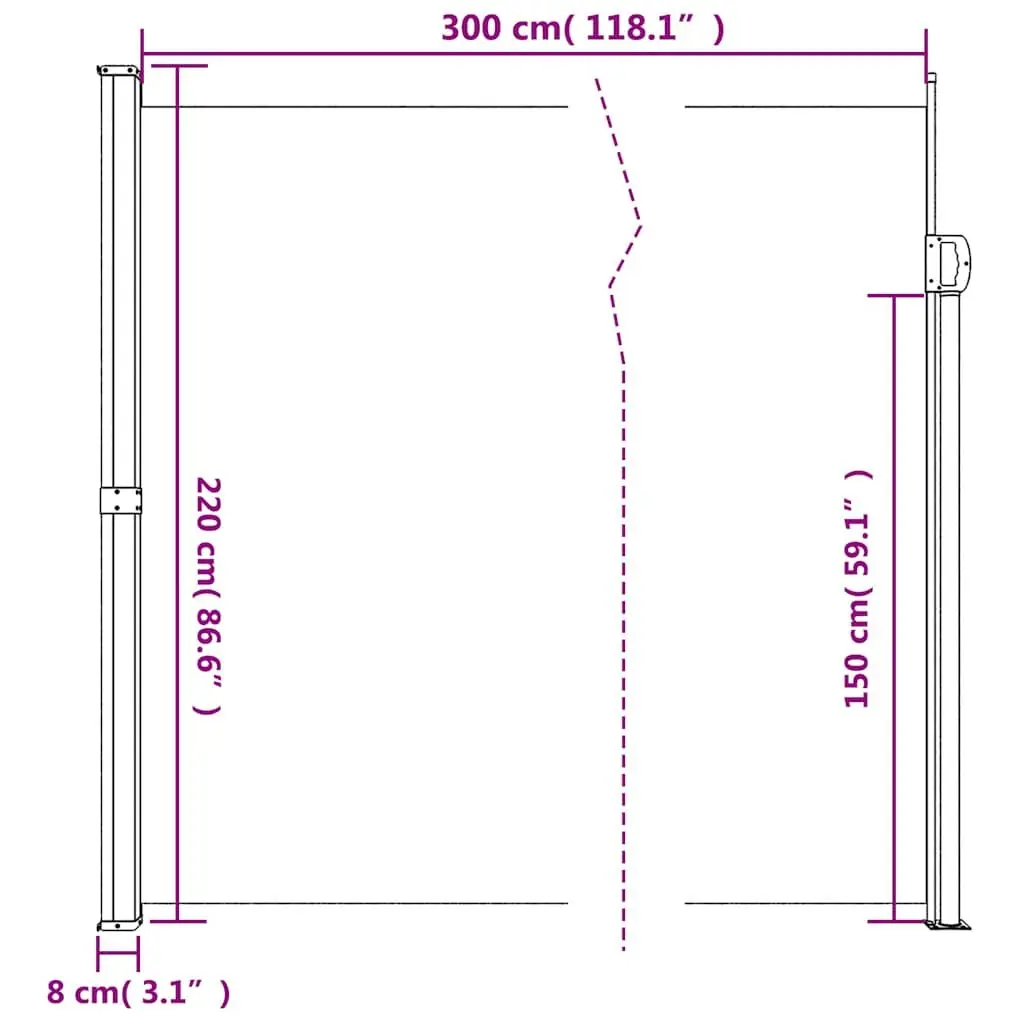Retractable Side Awning Garden Privacy Screen 220x300 cm Black Patio Balcony