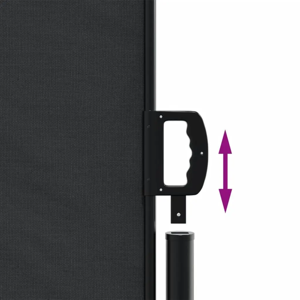 Retractable Side Awning Outdoor Garden Privacy Screen 200x1000 cm