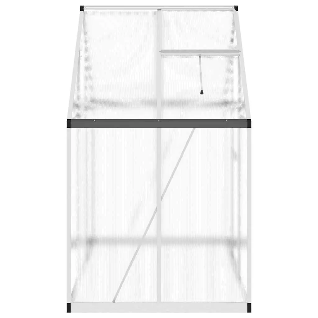 Greenhouse for Garden 169x114x195 cm Aluminium Polycarbonate Silver
