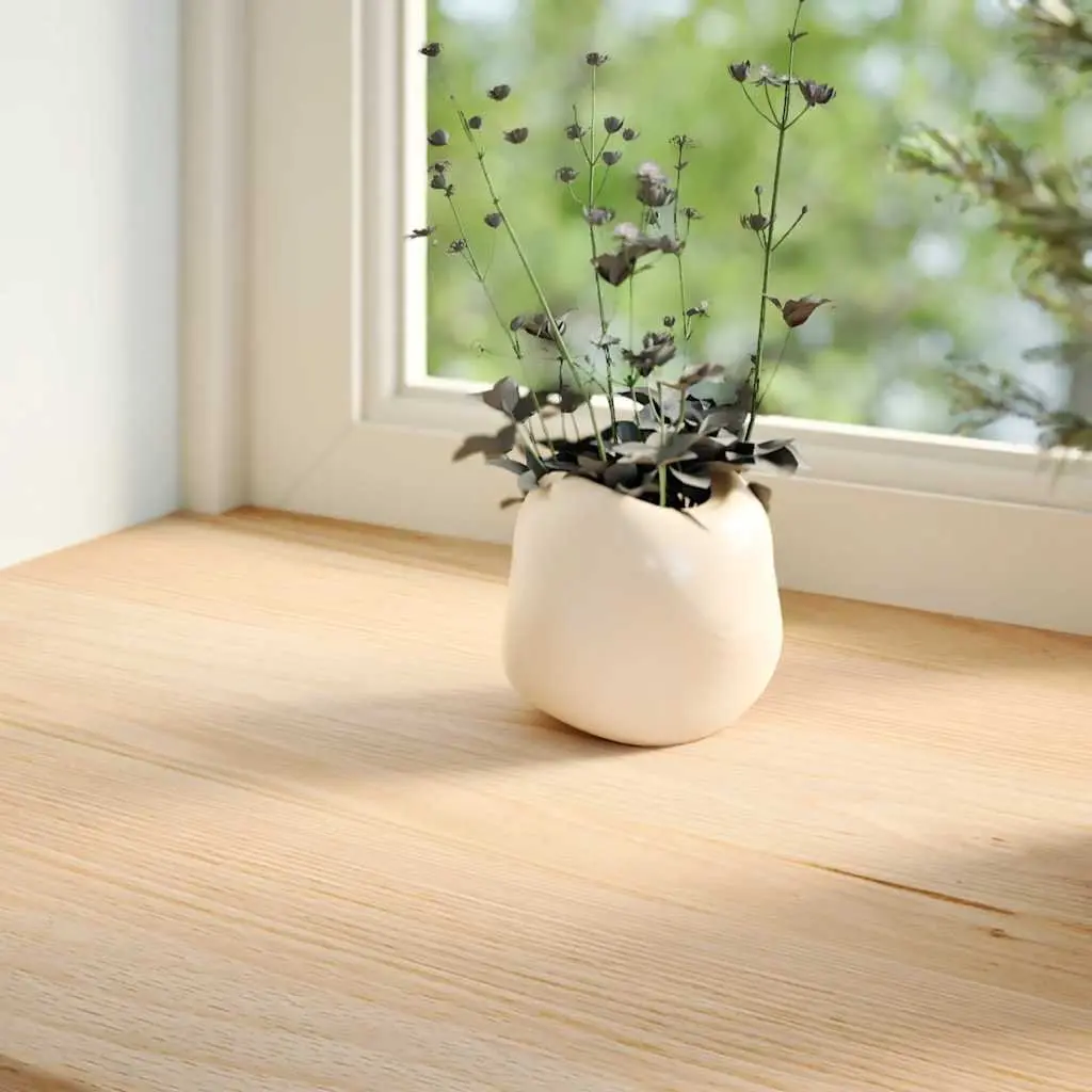 Window Sills Solid Oak Wood Untreated Natural 80x25x2 cm Interior Ledge 2 pcs