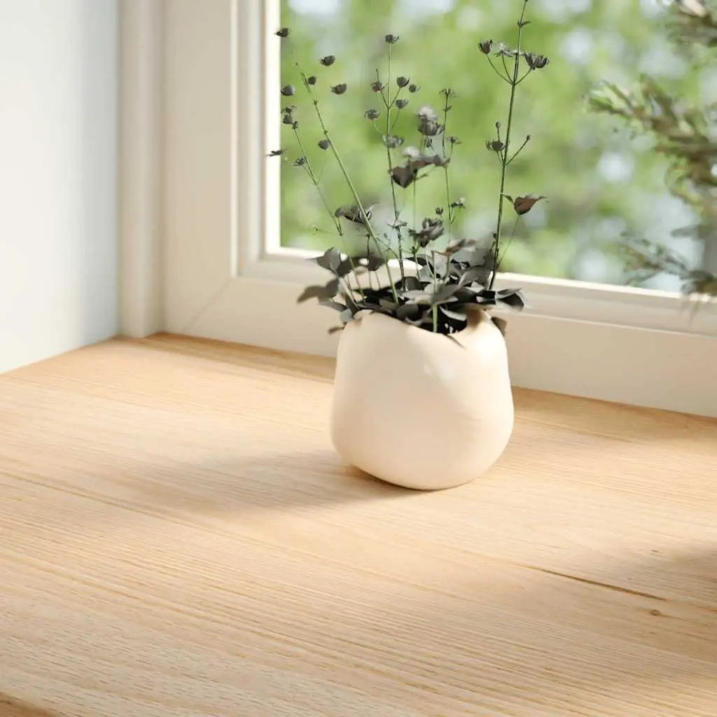 Window Sills for Home 110x25x2 cm Solid Oak Wood Untreated Natural Display Ledge 2 Piece
