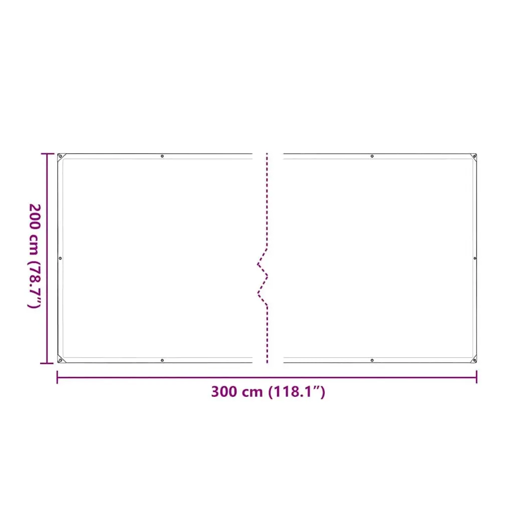 Clear Polyethylene Tarpaulin for Garden Outdoor 2x3 m Waterproof Cover