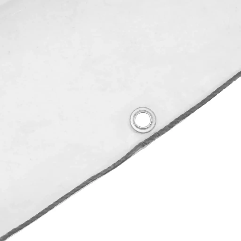 Clear Polyethylene Tarpaulin for Garden Outdoor 2x3 m Waterproof Cover