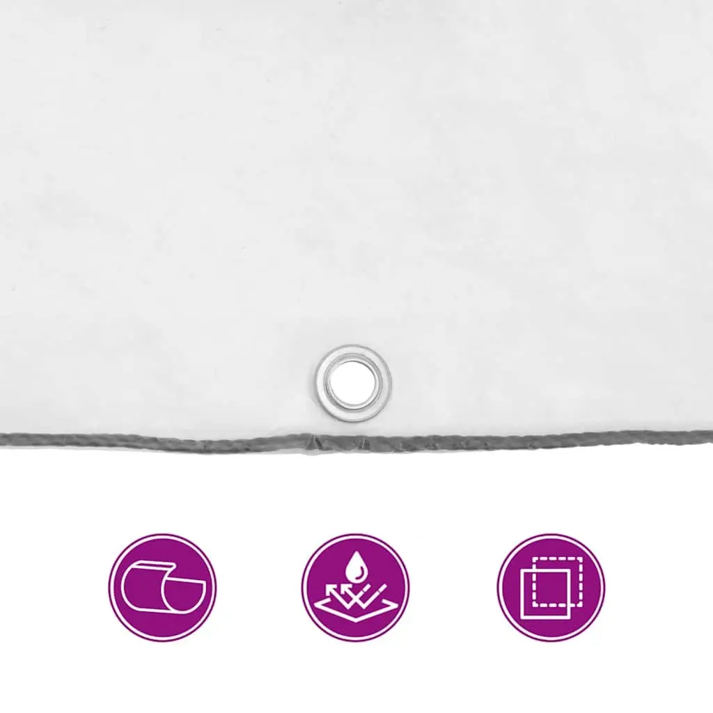 Clear Polyethylene Tarpaulin for Garden Outdoor 2x3 m Waterproof Cover