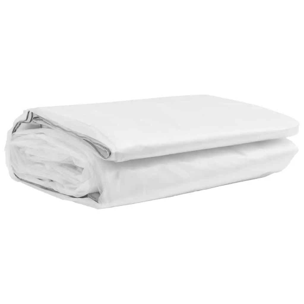 Clear Tarpaulin for Outdoor Use 3x5 m Transparent Polyethylene Waterproof