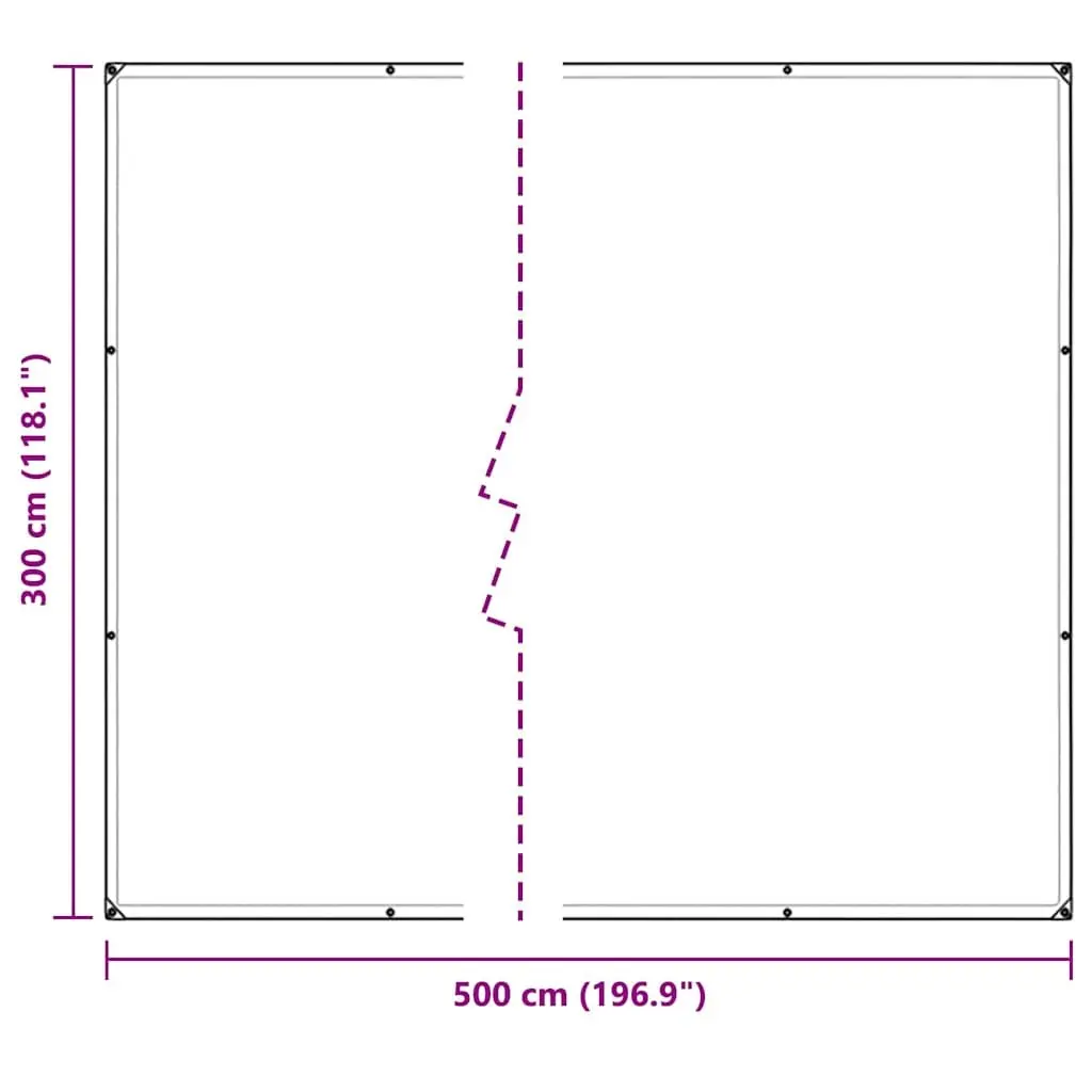 Clear Tarpaulin for Outdoor Use 3x5 m Transparent Polyethylene Waterproof