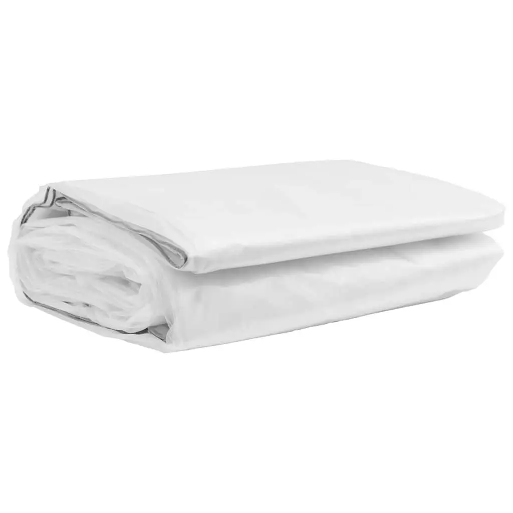 Clear Polyethylene Tarpaulin 3x6m