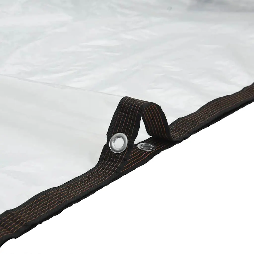 Clear Tarpaulin for Outdoor Use 3x5 m Waterproof Polyethylene Cover