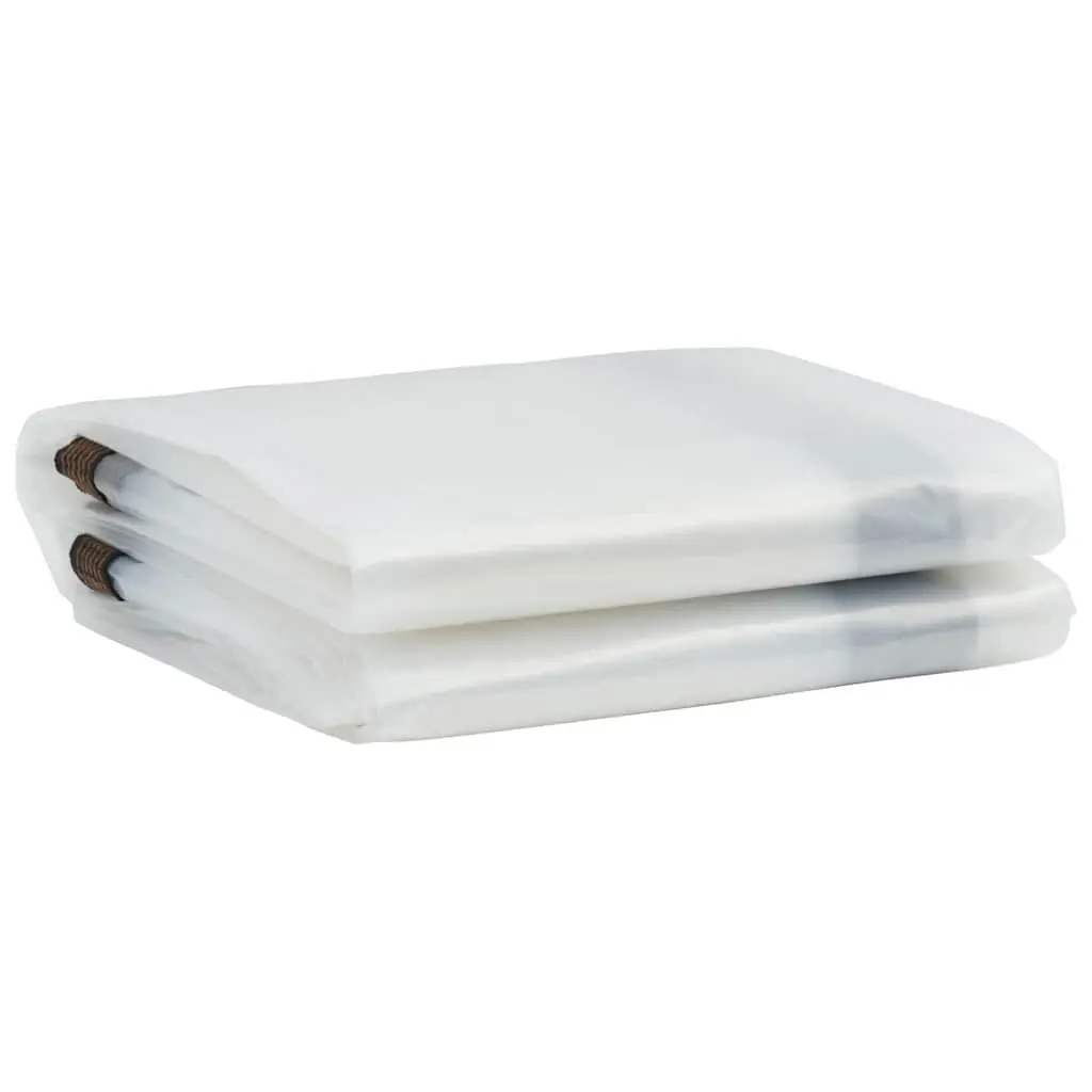 Clear Tarpaulin for Outdoor Use 3x5 m Waterproof Polyethylene Cover
