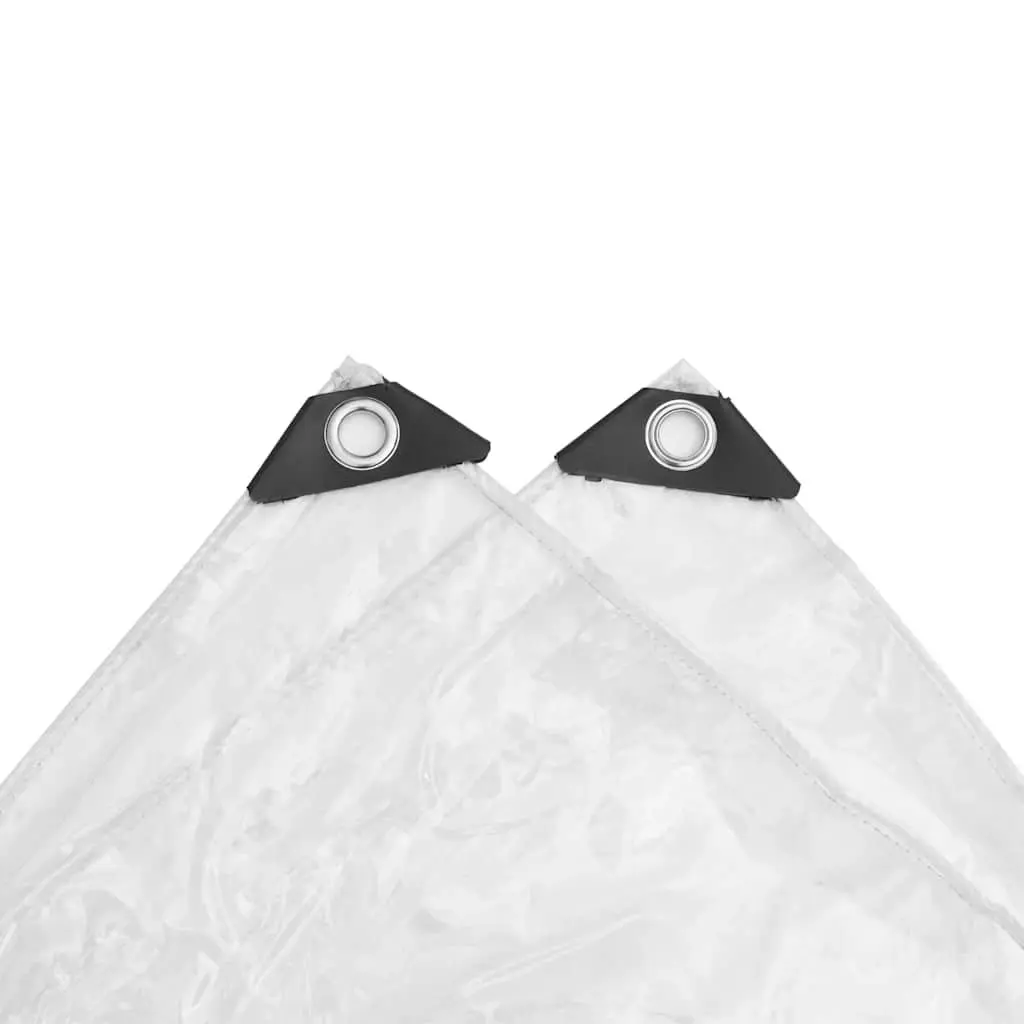 Clear PVC Tarpaulin with Eyelets 2x3 m